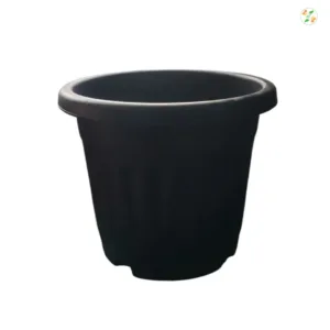 Black Pot (16-Inch)