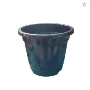 Black Pot (10-Inch)