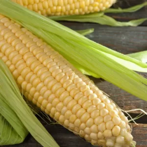Yellow Corn