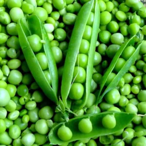 Green Peas