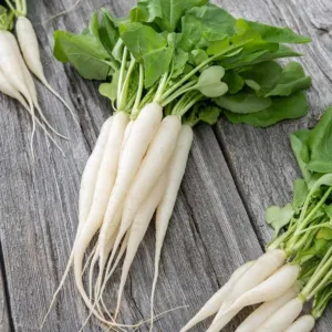 Radish White