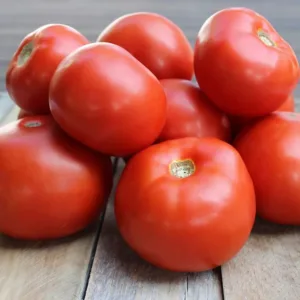 Tomato