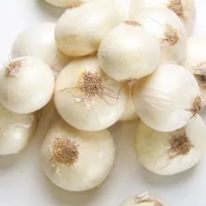White Onion