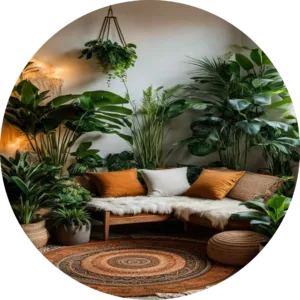 Indoor plants