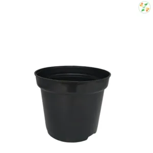 6.5 inch Black Plastic Pot