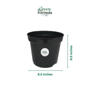 6.5 inch Black Plastic Pot