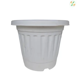 8.5 inch White (grow)Plastic Pot