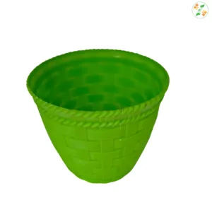 Bamboo Green Pot