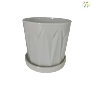 White ceramic flower pot