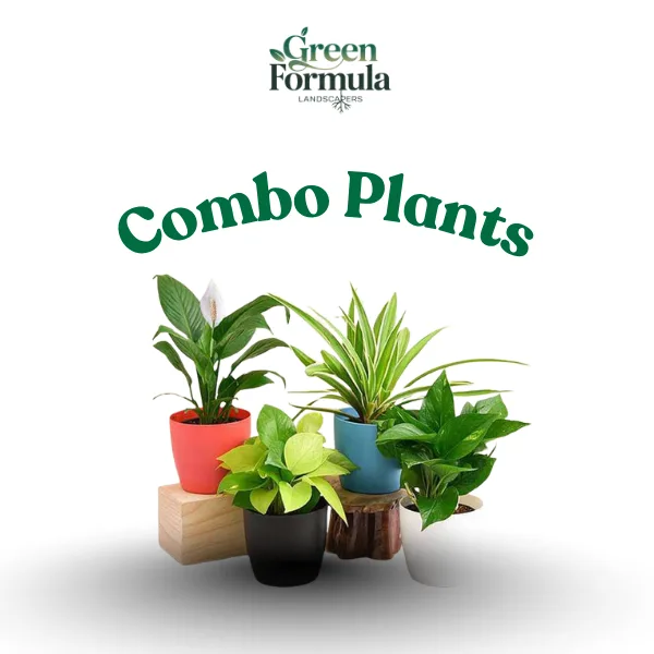 Combo Plants