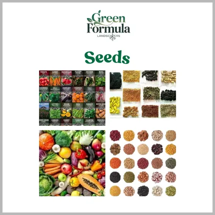 Seeds