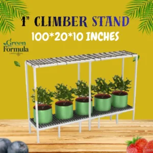 Climber stand 1 inch 100x20x10