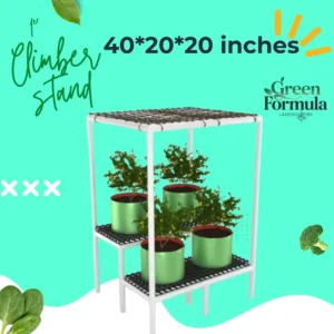 Climber stand 1 inch 40x20x20