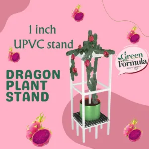 Dragon plant stand 1 inch