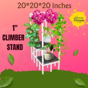 2 Step climber stand 1 inch 20x20x20