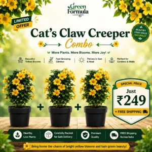 Cats Claw Creeper Combo