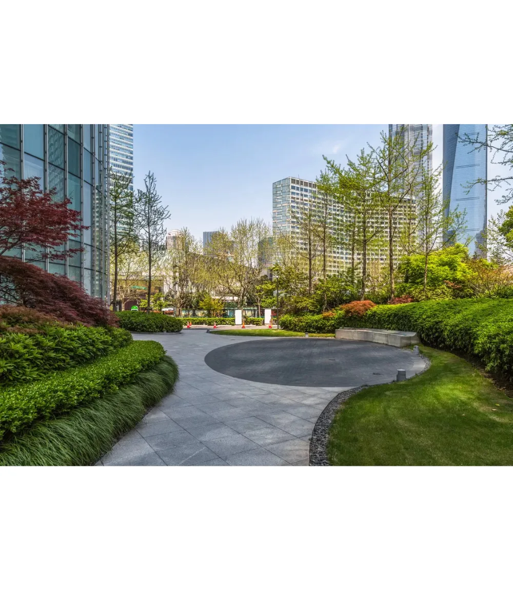 Commercial Landscape