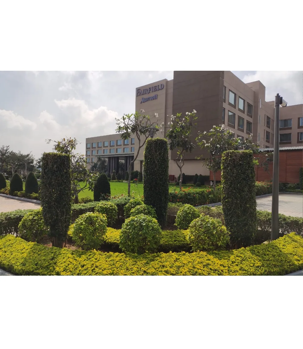 Commercial Landscape