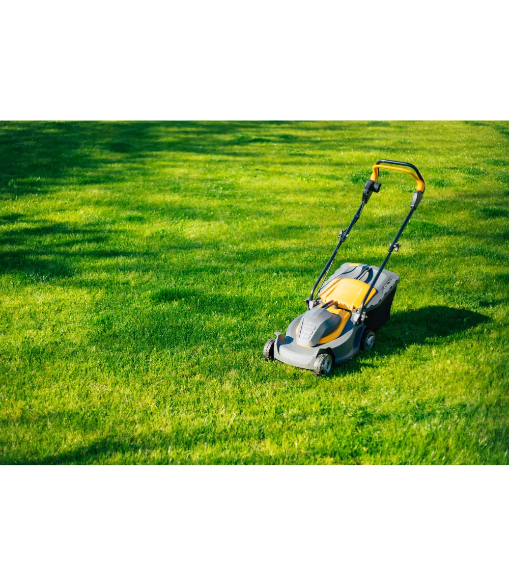 Garden Maintenance