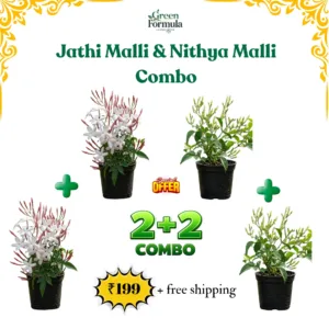 Jathi Malli & Nithya Malli Combo