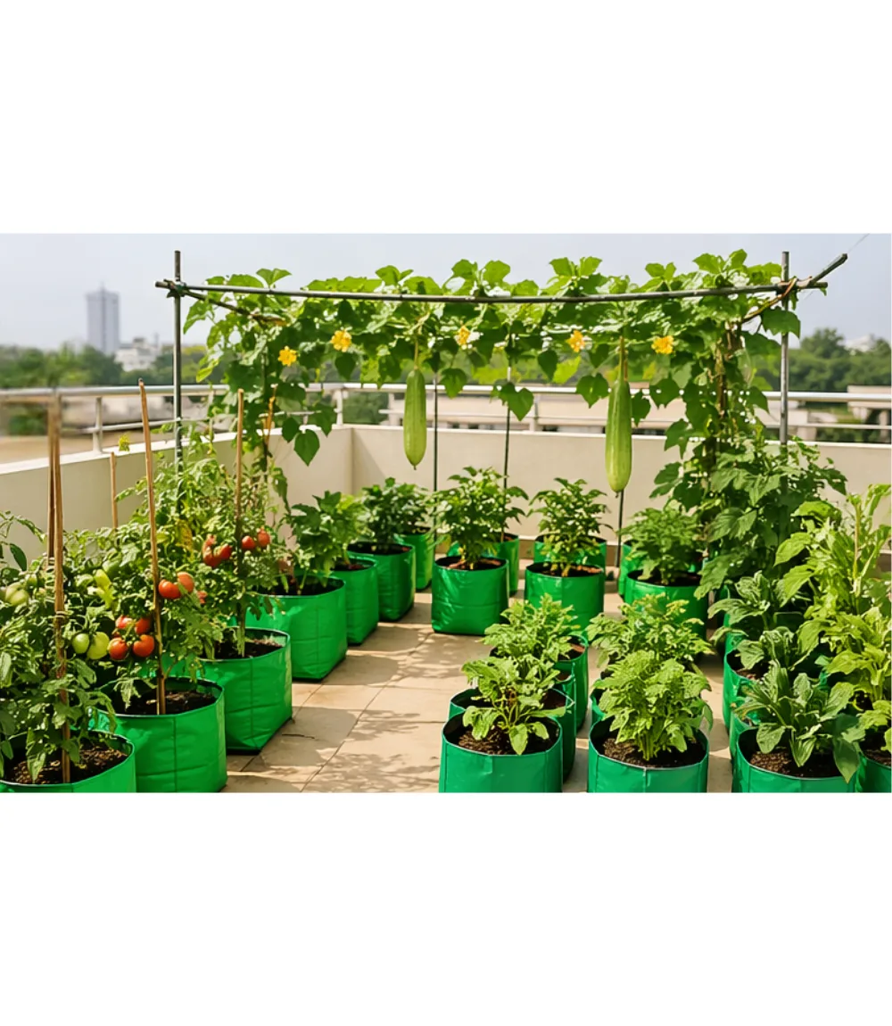 Terrace Garden