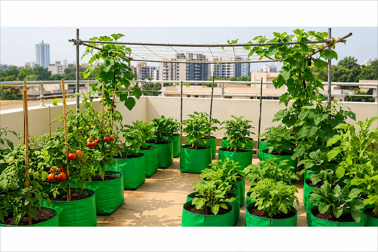 Terrace Garden