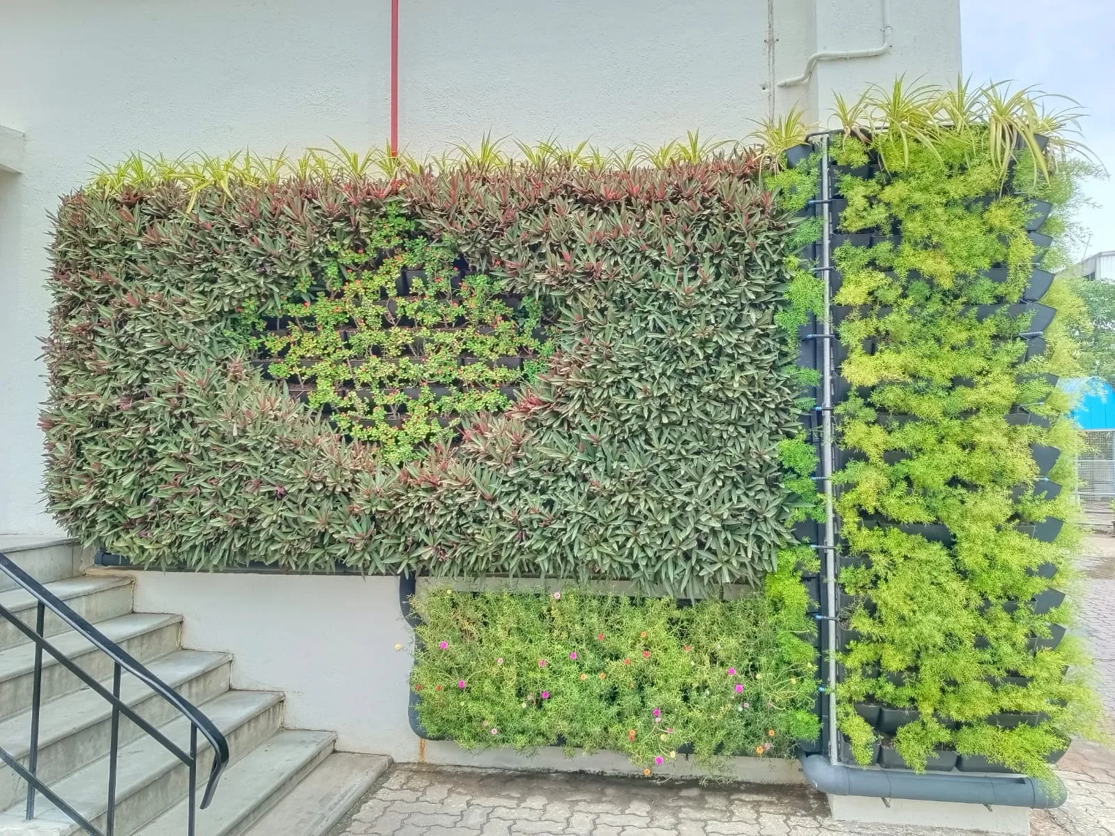Describe photo 2