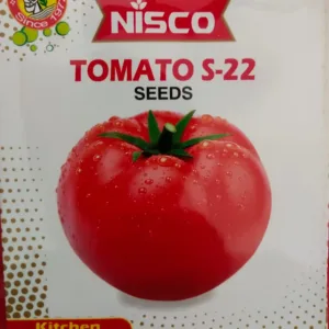 NISCO Tomato S-22 Seeds