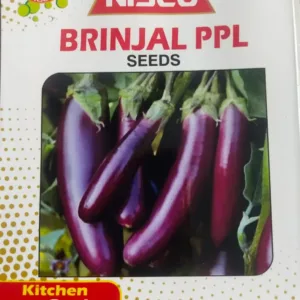 NISCO Brinjal PPL Seeds