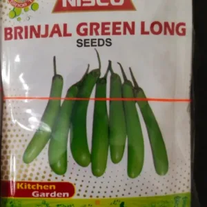 NISCO Brinjal Green Long Seeds
