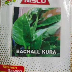 NISCO Bachall Kura Seeds
