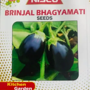 NISCO Brinjal Bhagyamati Seeds