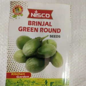 NISCO Brinjal Green Round Seeds