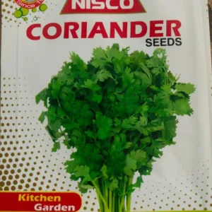 NISCO Coriander Seeds
