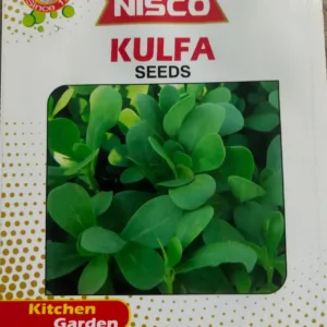 NISCO Kulfa Seeds
