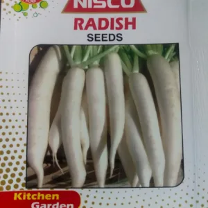 NISCO Radish Seeds