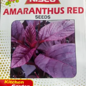 NISCO Amaranthus Red Seeds