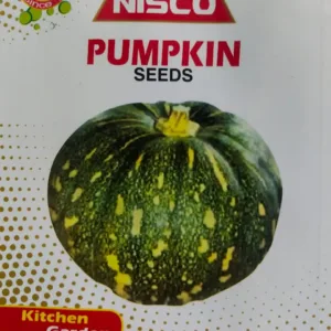 NISCO Pumpkin Seeds