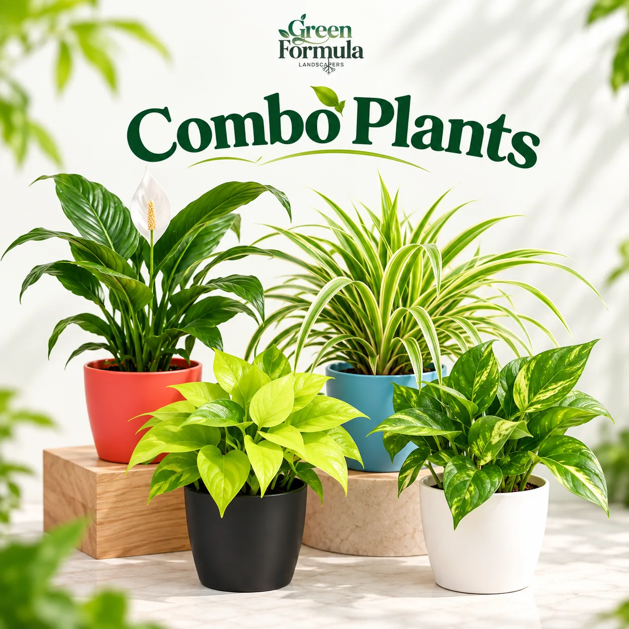 Combo Plants